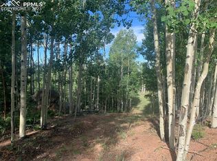72 & 73 Tipton Pl, Cripple Creek, CO 80813