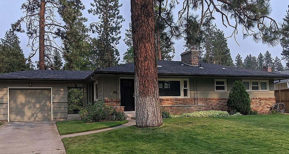 Pine tree since removed