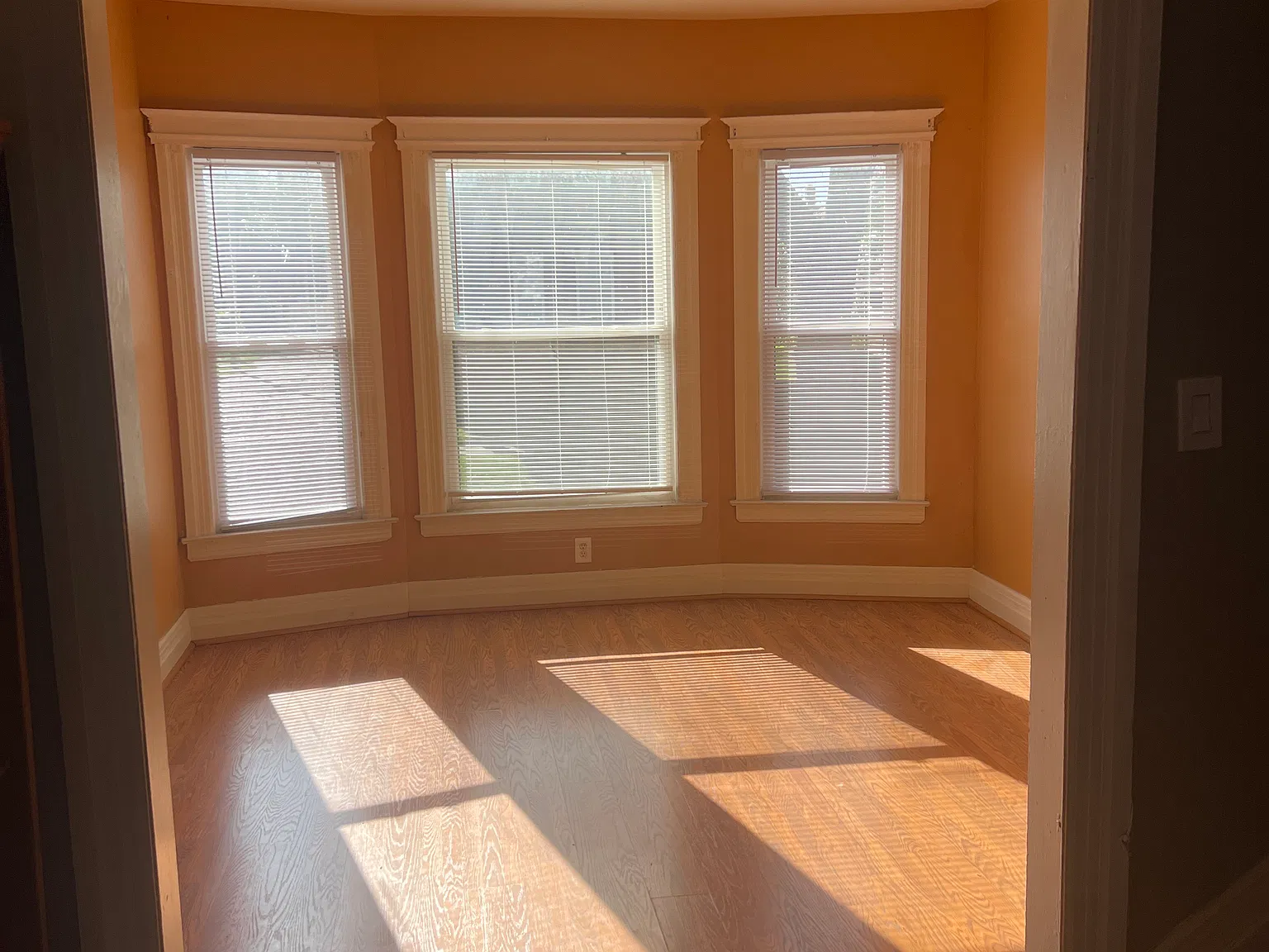 2116 Ferdinand St — Photo 3
