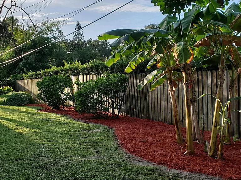 back yard; updated pictures to come. Lawn will be improved; last winter's freeze and lawn damage since this picture.