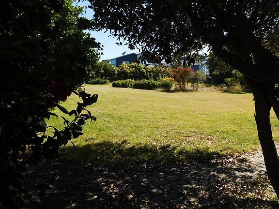 rear yard
