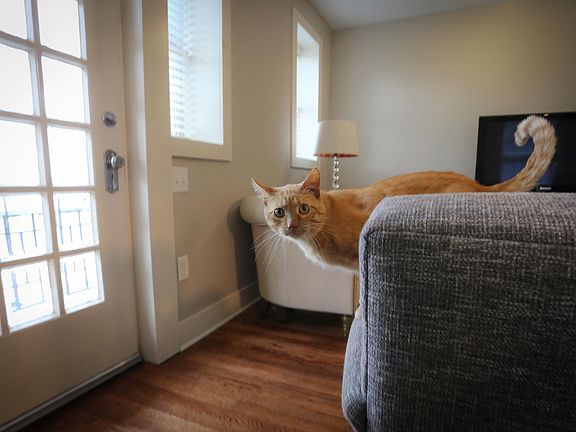 5th image of 2227 Howard St APT 3