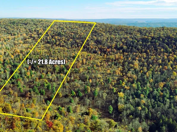 0 Ducks Gap Rd, Rebersburg, PA 16872