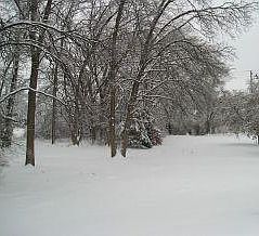 5th image of 2314 Forest Road Cir Lot 7