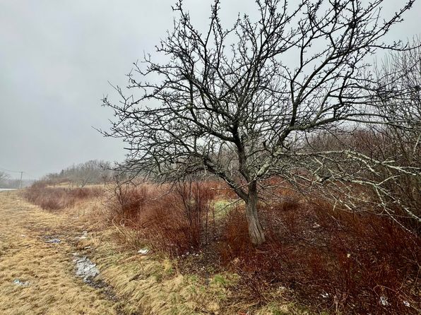 406 US Route 1, Whiting, ME 04691