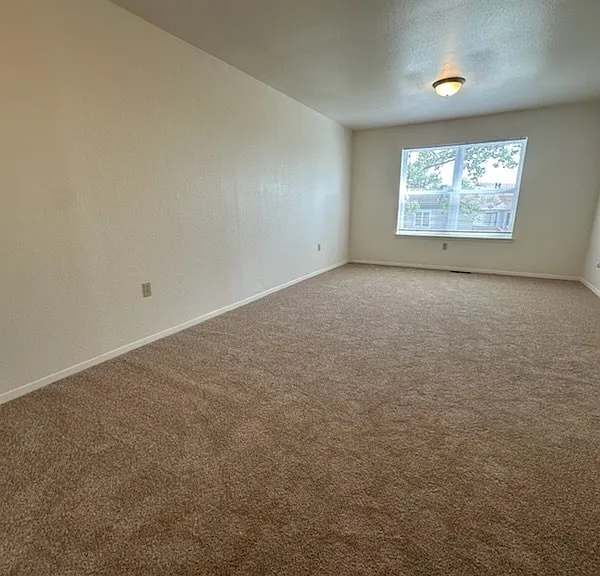 1205 Dakota Dr — Photo 5