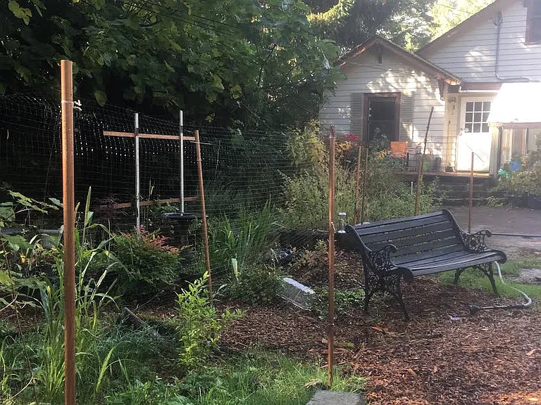 Zangle Rd NE — Photo 3