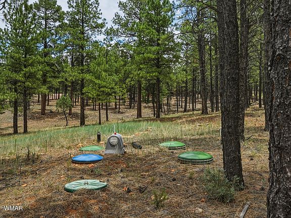 5th image of 2799 Cherokee Way
