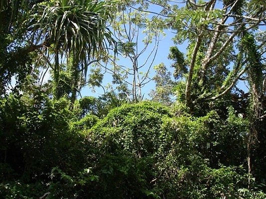 1st image of Railrd Rd