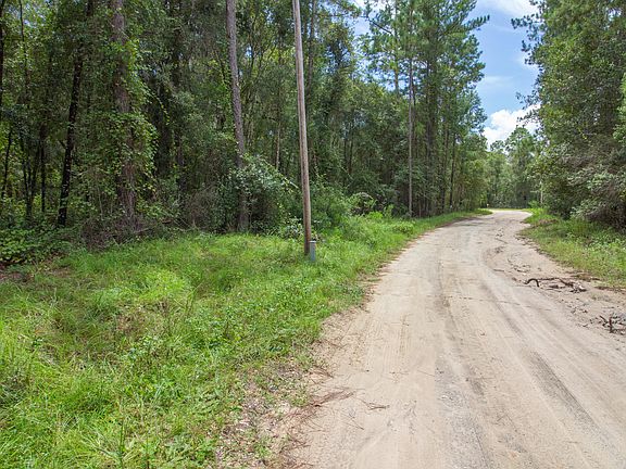4th image of 00 LIVE OAK Drive