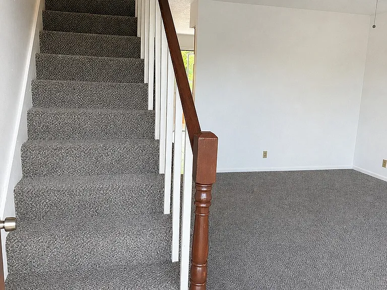 3700 Tigerbelle Dr — Photo 5