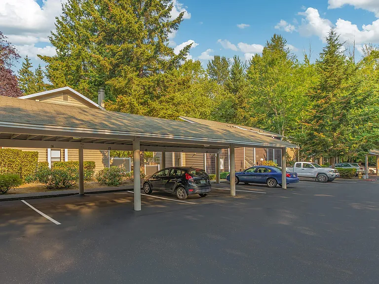 Pinewood Village Apartments — Photo 11