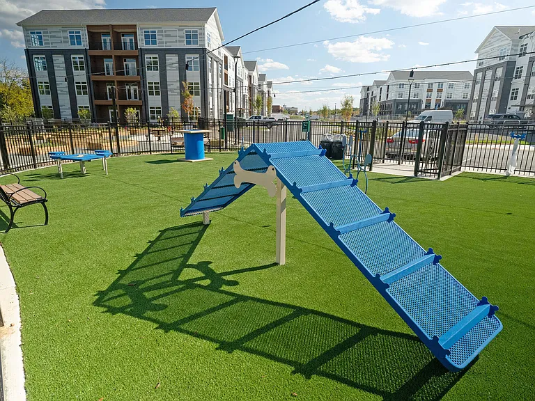 Dog Park