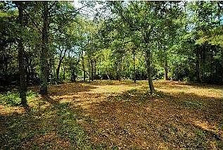 5th image of 111 New Hammock Cir