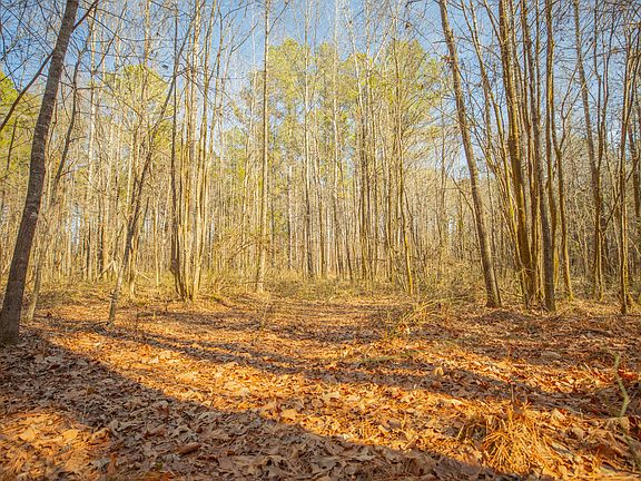 5th image of New Light Rd