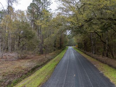 0 Red Root Rd, Ruffin, SC, 29475