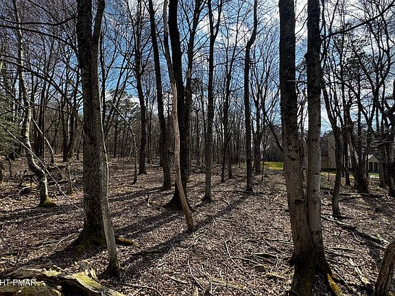 2nd image of Stony Mountain Rd