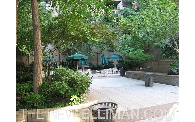 Rented by Douglas Elliman | media 33