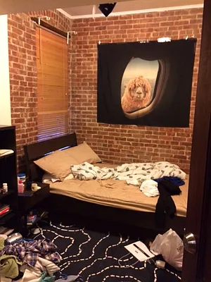 Rented by Sheila M Apfel, LREB | media 17