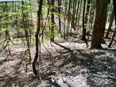 0 Othello Dr, Ellijay, GA, 30540