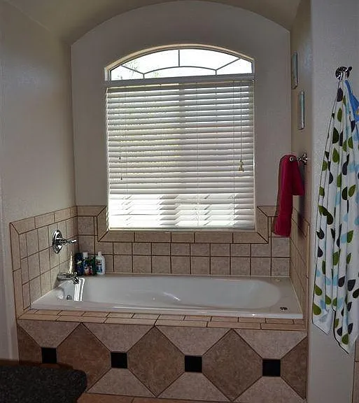 Master bathroom with jacuzzi-style tub