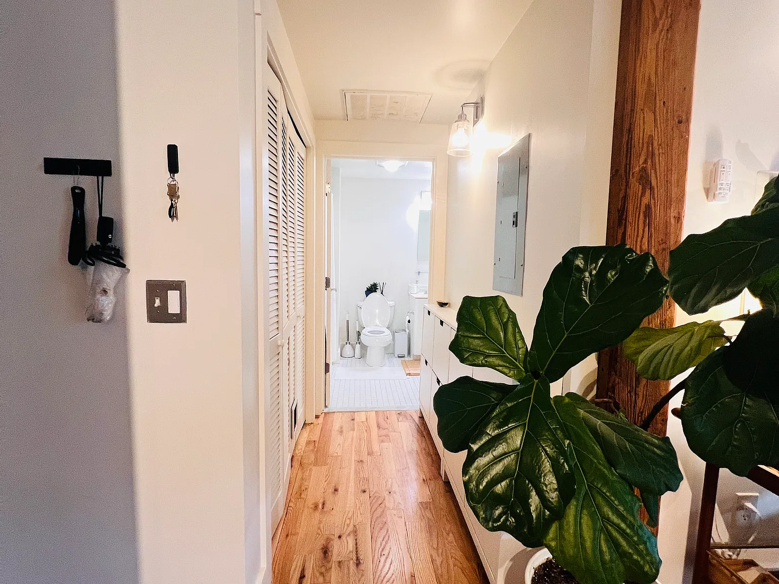 1 bed, 884 sqft, $2,250 — Photo 4
