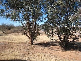 View from the front looking out