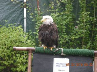 8037 NE 169th St, Kenmore, WA 98028