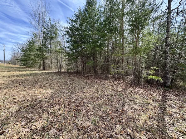 290 Ridge Ln Lot 8, Monterey, TN 38574