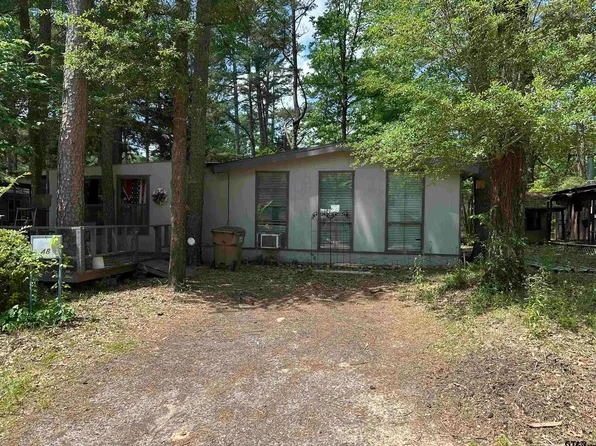 48 King Fisher Dr, Winnsboro, TX 75494