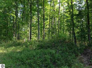 E County Line Rd, Kingsley, MI 49649