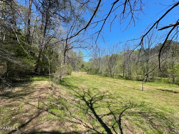 72A Reagan Valley Rd, Tellico Plains, TN 37385