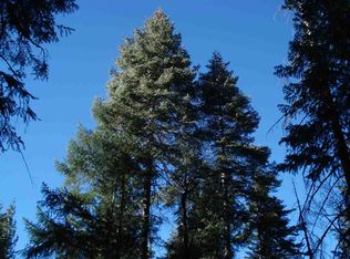 12004 24n69, Meadow Valley, CA 95956