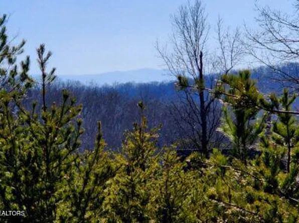 194 Forest Ridge Ln, Greenback, TN 37742