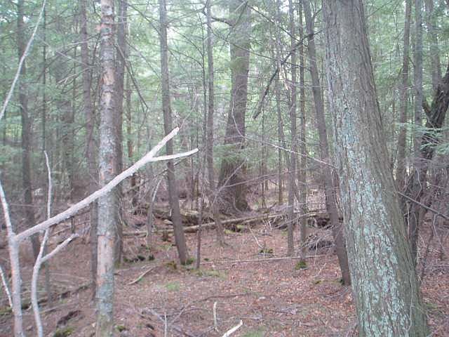 1st image of ON COL HIMES RD