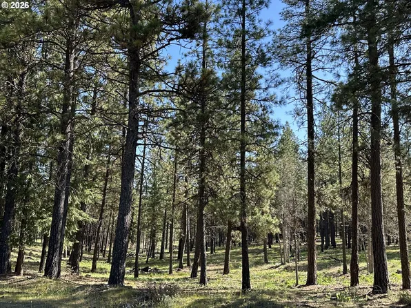 495 McNickols Rd, Goldendale, WA 98620