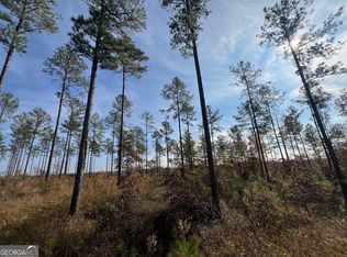 8089 Tennille Oconee Rd, Tennille, GA 31089