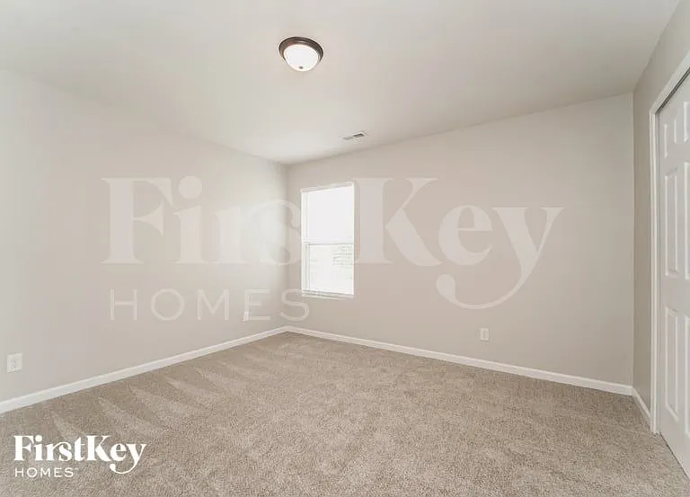 11628 Lusterleaf Holly Rd — Photo 12