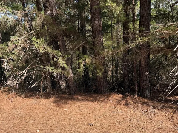 LOT 266 Wainee Dr, Bastrop, TX 78602