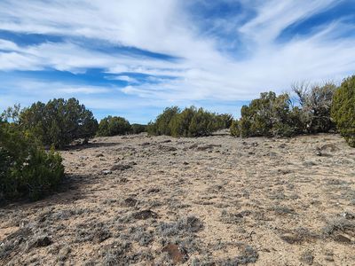 County Road 8235, Vernon, AZ, 85940