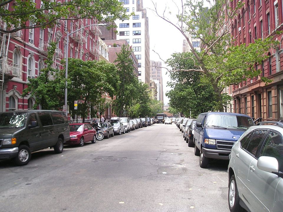 Beautiful Tree lined street