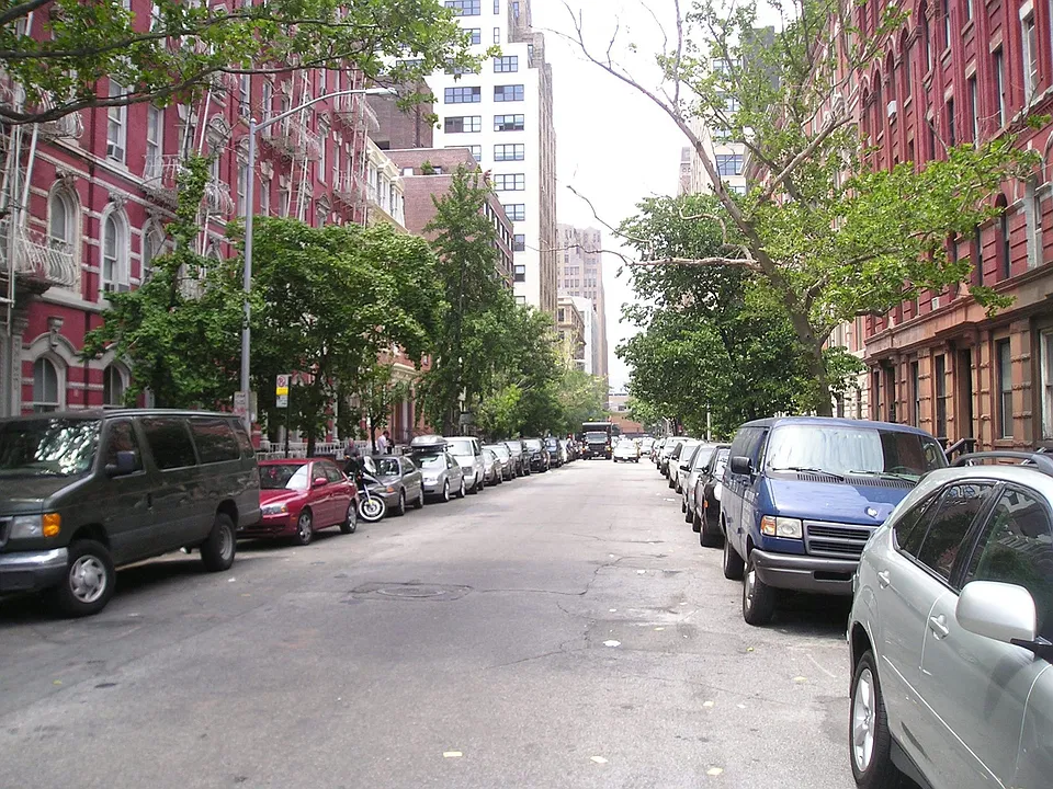 Beautiful Tree lined street