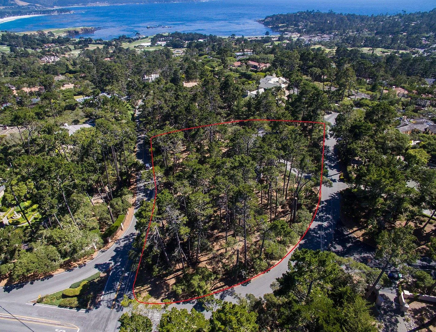 3920 Ronda Rd photo 1
