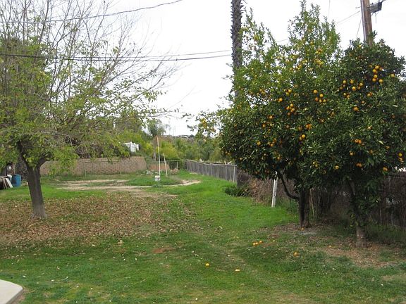 Large gated backyard with fruit trees
