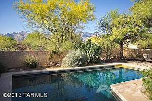 Lush Back Patio Area