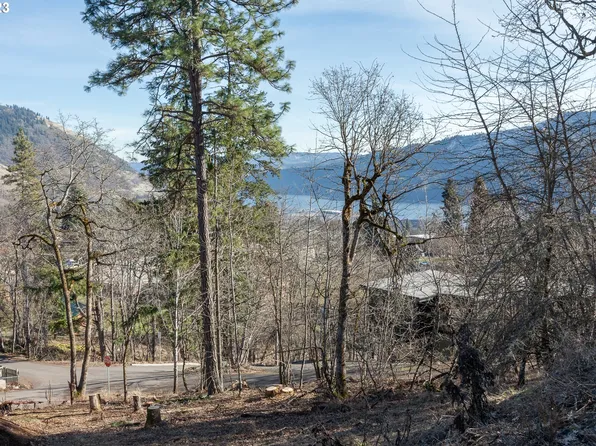 239 Sophie Ln, White Salmon, WA 98672