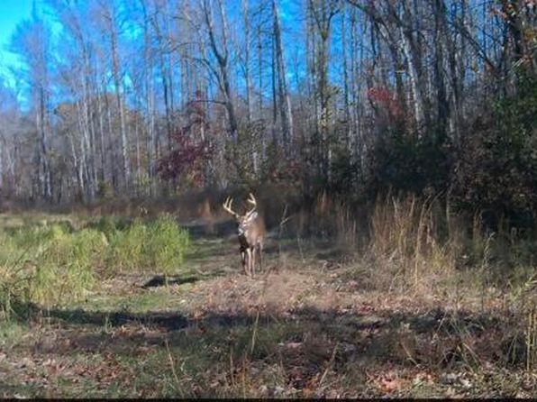 0 Highway 125 S, Middleton, TN 38052