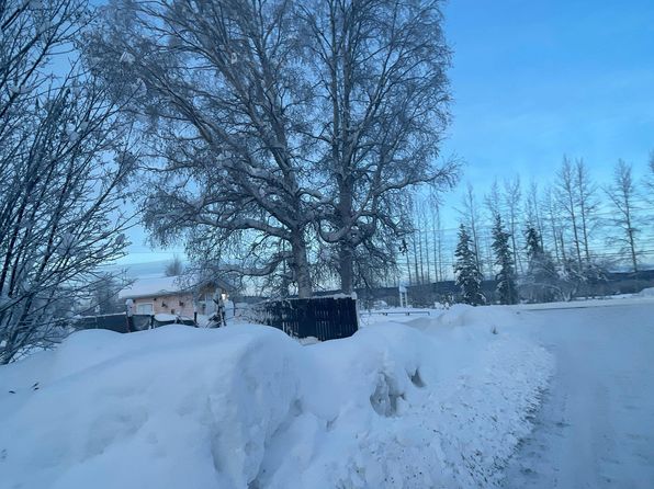 fairbanks-alaska-74503183 picture