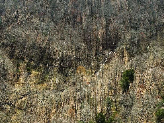 3rd image of 3 Jones School Rd