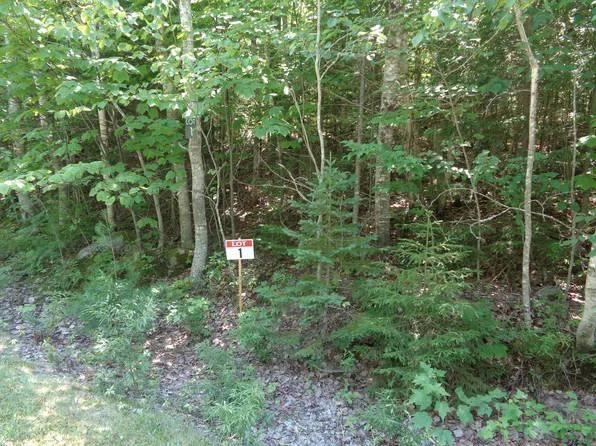 Lot 1 Bailey Mountain Road, Franklin, ME 04634